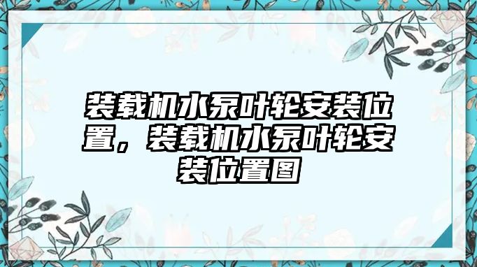 裝載機(jī)水泵葉輪安裝位置，裝載機(jī)水泵葉輪安裝位置圖