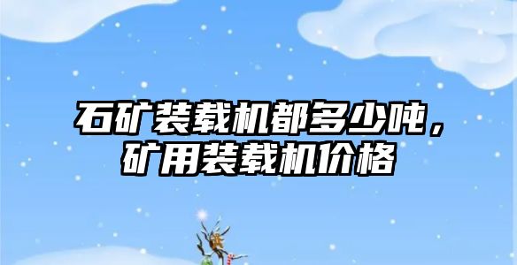 石礦裝載機都多少噸，礦用裝載機價格