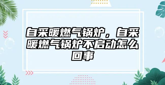 自采暖燃?xì)忮仩t，自采暖燃?xì)忮仩t不啟動(dòng)怎么回事