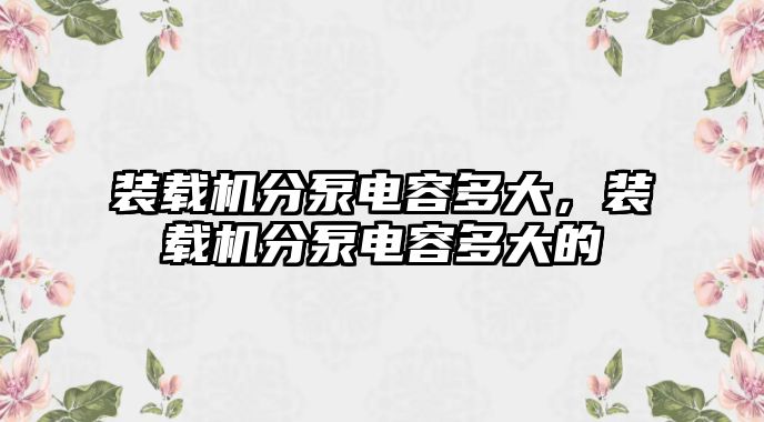 裝載機分泵電容多大，裝載機分泵電容多大的