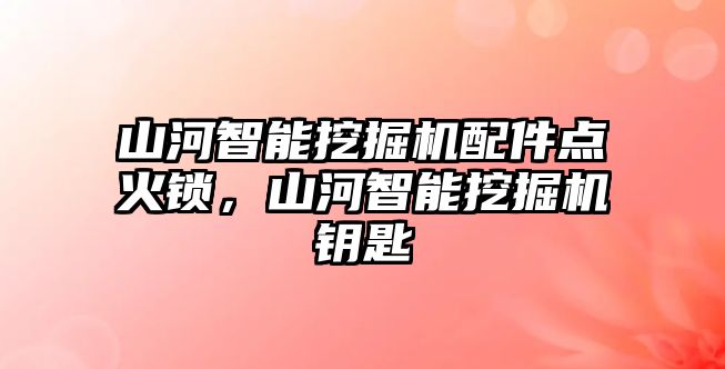 山河智能挖掘機(jī)配件點(diǎn)火鎖，山河智能挖掘機(jī)鑰匙