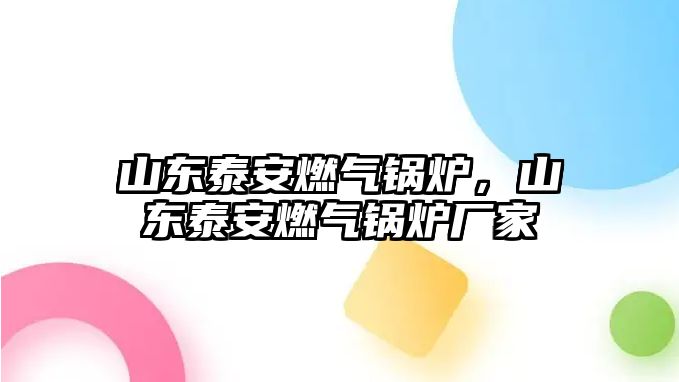 山東泰安燃氣鍋爐，山東泰安燃氣鍋爐廠家