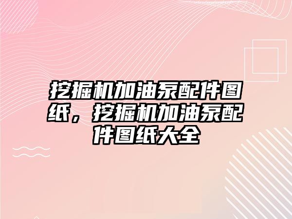 挖掘機加油泵配件圖紙，挖掘機加油泵配件圖紙大全