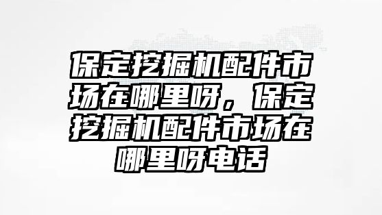 保定挖掘機(jī)配件市場(chǎng)在哪里呀，保定挖掘機(jī)配件市場(chǎng)在哪里呀電話