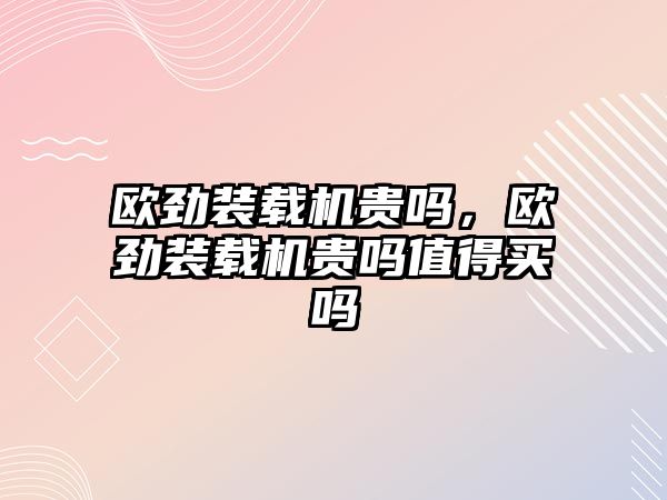 歐勁裝載機貴嗎，歐勁裝載機貴嗎值得買嗎