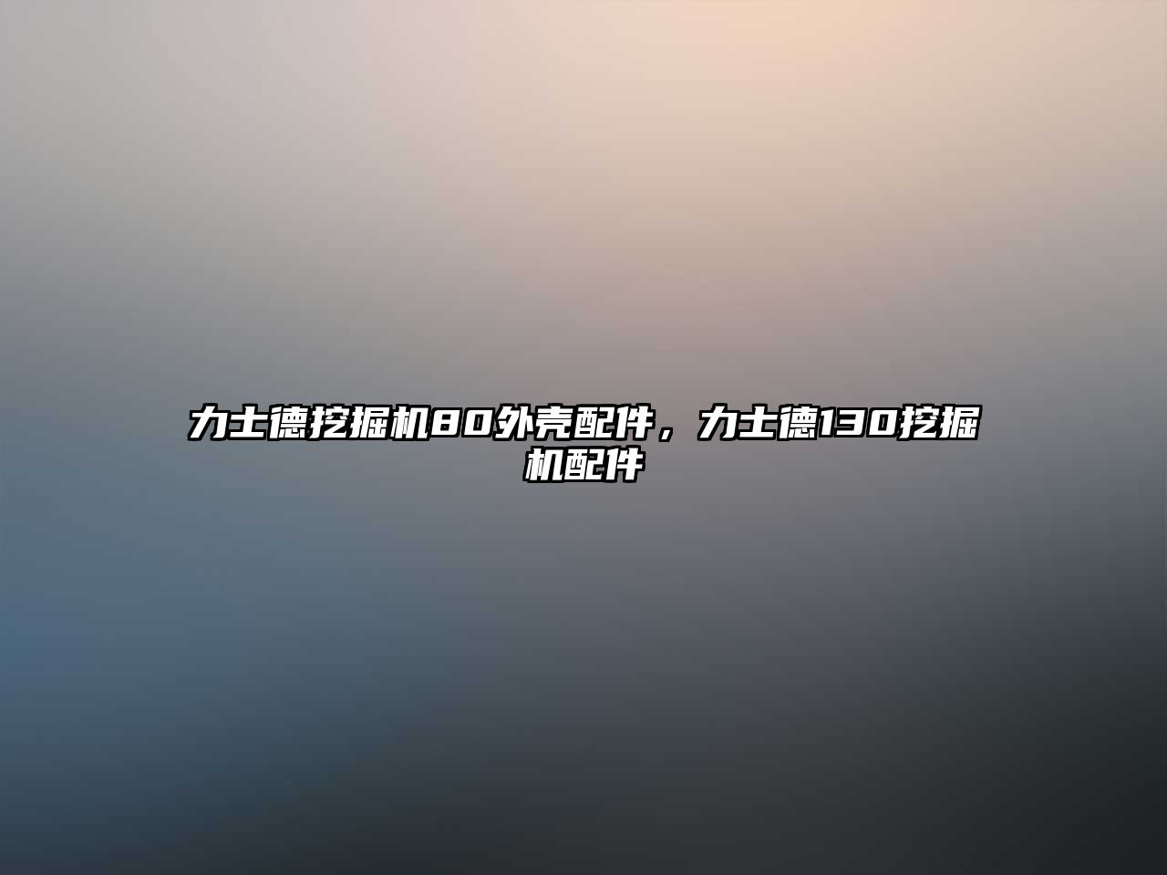 力士德挖掘機(jī)80外殼配件，力士德130挖掘機(jī)配件