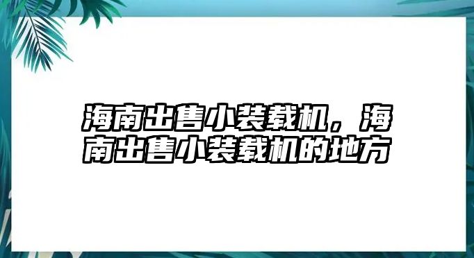 海南出售小裝載機(jī)，海南出售小裝載機(jī)的地方