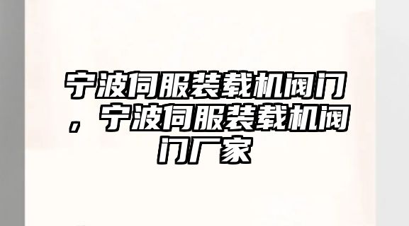 寧波伺服裝載機(jī)閥門，寧波伺服裝載機(jī)閥門廠家