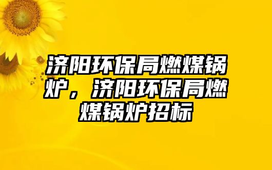 濟(jì)陽環(huán)保局燃煤鍋爐，濟(jì)陽環(huán)保局燃煤鍋爐招標(biāo)