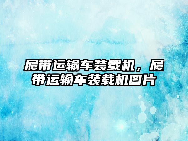 履帶運輸車裝載機，履帶運輸車裝載機圖片