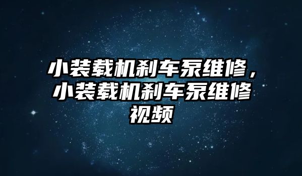 小裝載機(jī)剎車泵維修，小裝載機(jī)剎車泵維修視頻