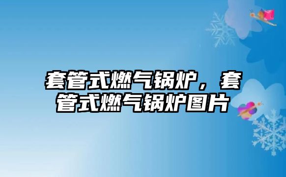 套管式燃氣鍋爐，套管式燃氣鍋爐圖片