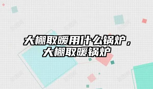 大棚取曖用什么鍋爐，大棚取暖鍋爐