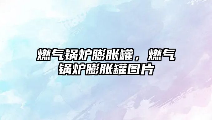 燃?xì)忮仩t膨脹罐，燃?xì)忮仩t膨脹罐圖片