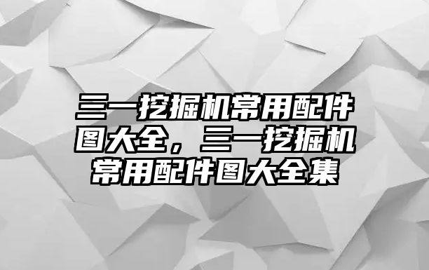 三一挖掘機(jī)常用配件圖大全，三一挖掘機(jī)常用配件圖大全集