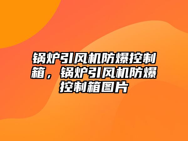 鍋爐引風(fēng)機(jī)防爆控制箱，鍋爐引風(fēng)機(jī)防爆控制箱圖片