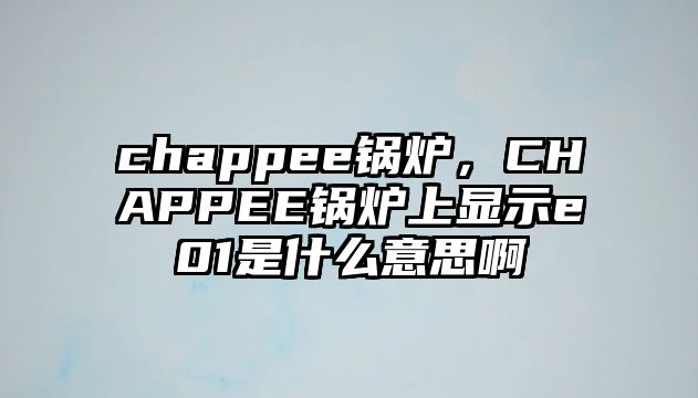 chappee鍋爐，CHAPPEE鍋爐上顯示e01是什么意思啊