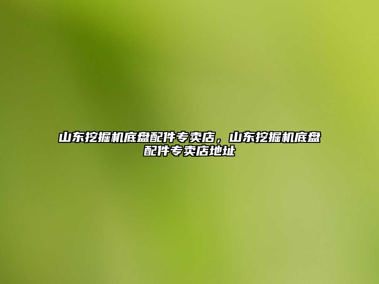 山東挖掘機底盤配件專賣店，山東挖掘機底盤配件專賣店地址