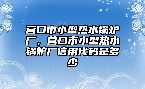 營口市小型熱水鍋爐廠，營口市小型熱水鍋爐廠信用代碼是多少