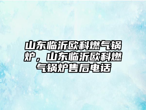 山東臨沂歐科燃?xì)忮仩t，山東臨沂歐科燃?xì)忮仩t售后電話