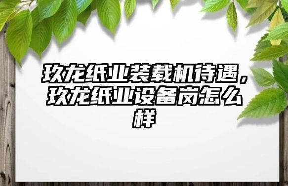 玖龍紙業(yè)裝載機(jī)待遇，玖龍紙業(yè)設(shè)備崗怎么樣