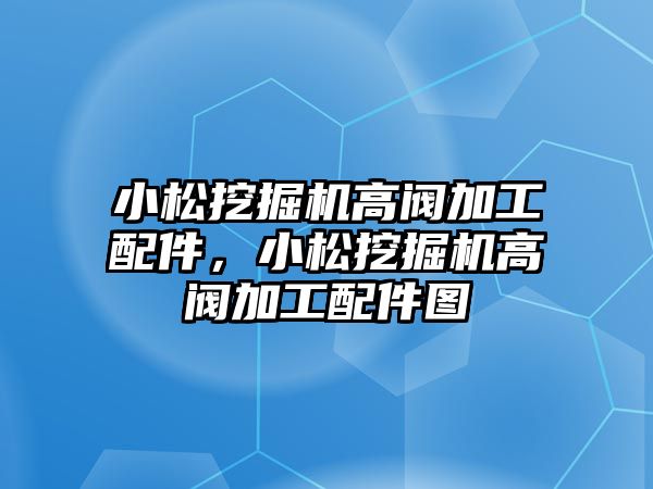 小松挖掘機(jī)高閥加工配件，小松挖掘機(jī)高閥加工配件圖