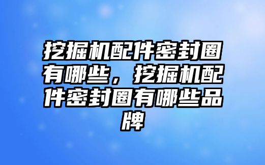 挖掘機配件密封圈有哪些，挖掘機配件密封圈有哪些品牌