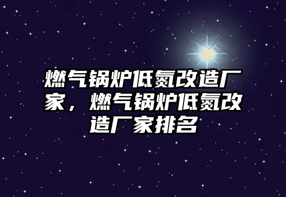 燃?xì)忮仩t低氮改造廠家，燃?xì)忮仩t低氮改造廠家排名