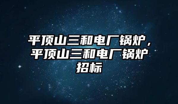 平頂山三和電廠鍋爐，平頂山三和電廠鍋爐招標