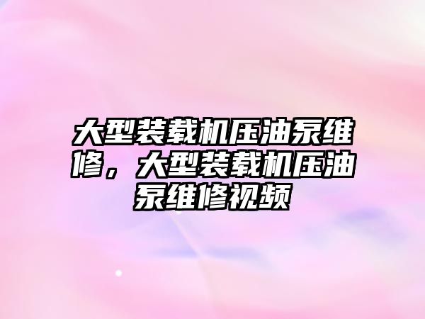 大型裝載機壓油泵維修，大型裝載機壓油泵維修視頻