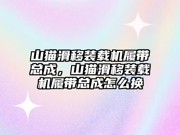 山貓滑移裝載機履帶總成，山貓滑移裝載機履帶總成怎么換