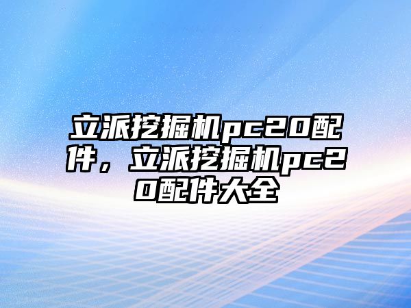 立派挖掘機(jī)pc20配件，立派挖掘機(jī)pc20配件大全