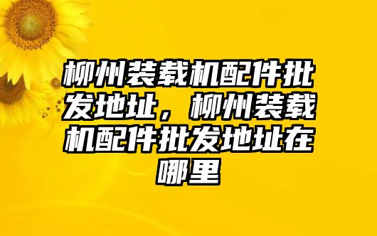 柳州裝載機(jī)配件批發(fā)地址，柳州裝載機(jī)配件批發(fā)地址在哪里