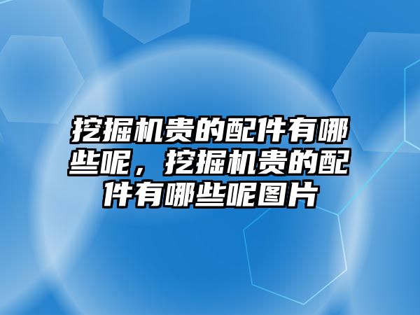 挖掘機(jī)貴的配件有哪些呢，挖掘機(jī)貴的配件有哪些呢圖片