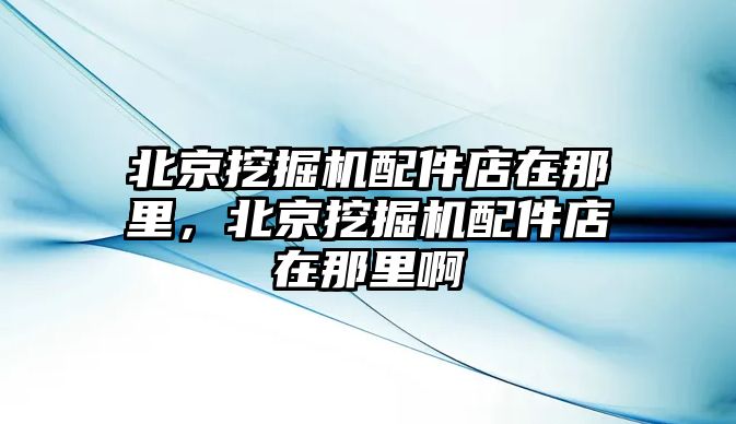 北京挖掘機(jī)配件店在那里，北京挖掘機(jī)配件店在那里啊