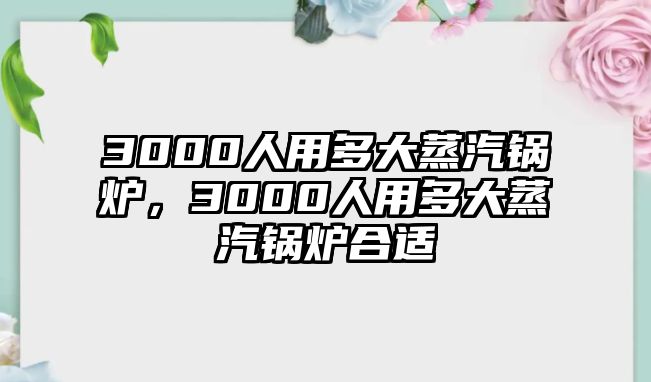 3000人用多大蒸汽鍋爐，3000人用多大蒸汽鍋爐合適