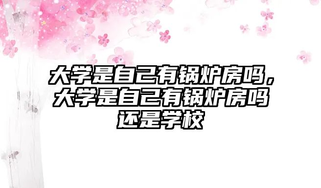 大學(xué)是自己有鍋爐房嗎，大學(xué)是自己有鍋爐房嗎還是學(xué)校