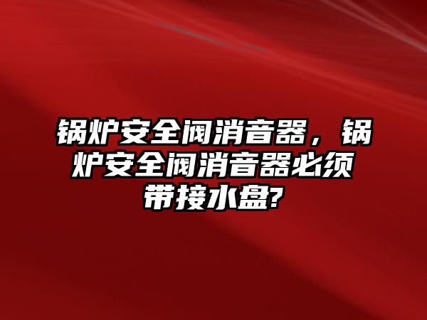 鍋爐安全閥消音器，鍋爐安全閥消音器必須帶接水盤(pán)?