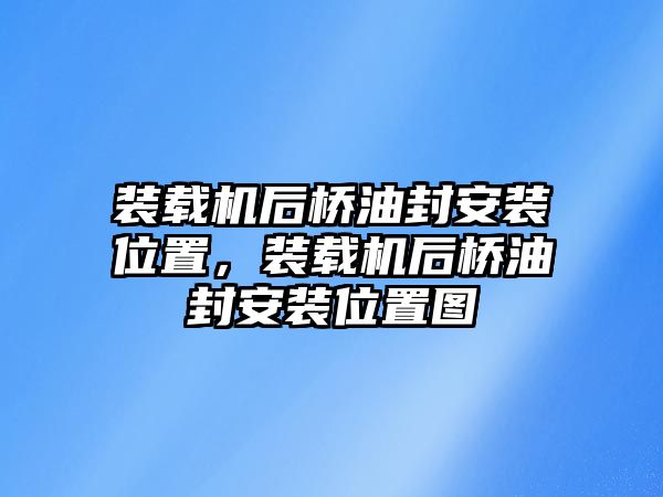 裝載機后橋油封安裝位置，裝載機后橋油封安裝位置圖