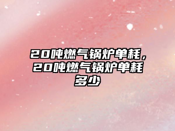 20噸燃?xì)忮仩t單耗，20噸燃?xì)忮仩t單耗多少