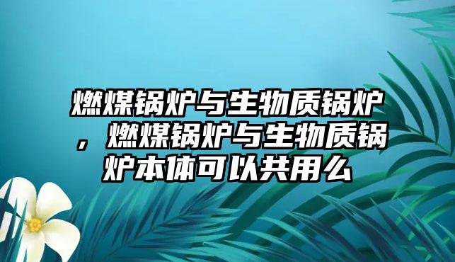 燃煤鍋爐與生物質(zhì)鍋爐，燃煤鍋爐與生物質(zhì)鍋爐本體可以共用么