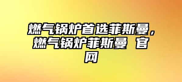 燃?xì)忮仩t首選菲斯曼，燃?xì)忮仩t菲斯曼 官網(wǎng)