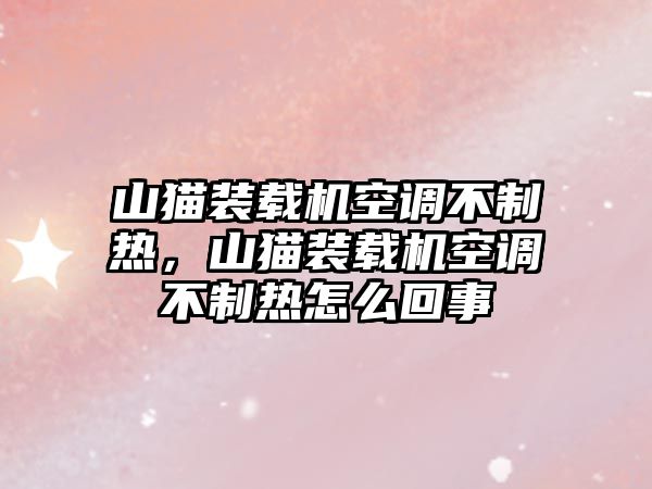 山貓裝載機(jī)空調(diào)不制熱，山貓裝載機(jī)空調(diào)不制熱怎么回事