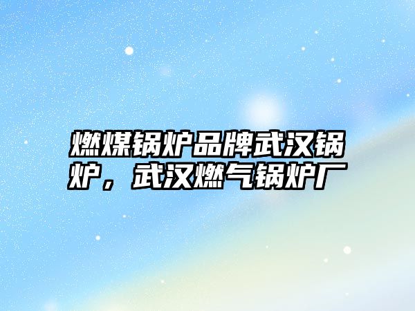 燃煤鍋爐品牌武漢鍋爐，武漢燃氣鍋爐廠