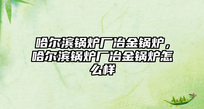 哈爾濱鍋爐廠冶金鍋爐，哈爾濱鍋爐廠冶金鍋爐怎么樣