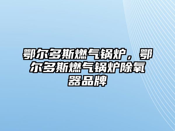 鄂爾多斯燃?xì)忮仩t，鄂爾多斯燃?xì)忮仩t除氧器品牌