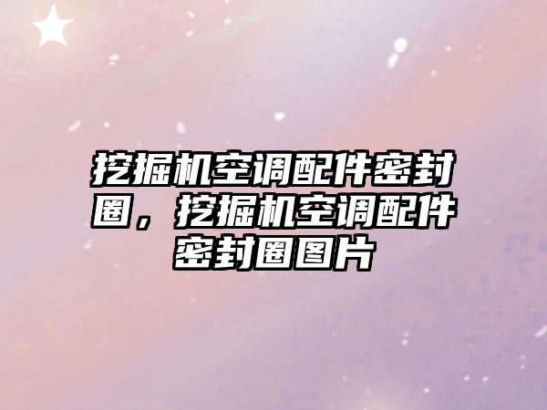 挖掘機(jī)空調(diào)配件密封圈，挖掘機(jī)空調(diào)配件密封圈圖片