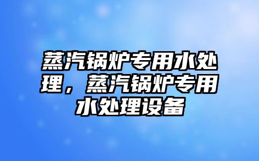 蒸汽鍋爐專用水處理，蒸汽鍋爐專用水處理設(shè)備