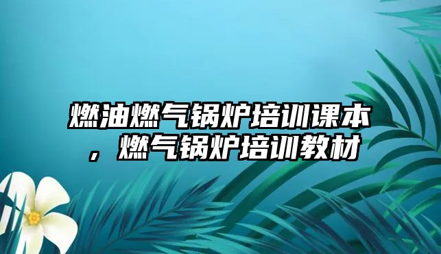 燃油燃?xì)忮仩t培訓(xùn)課本，燃?xì)忮仩t培訓(xùn)教材