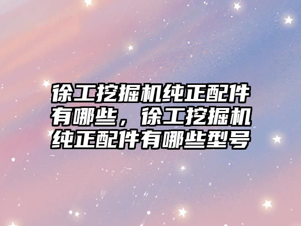 徐工挖掘機純正配件有哪些，徐工挖掘機純正配件有哪些型號